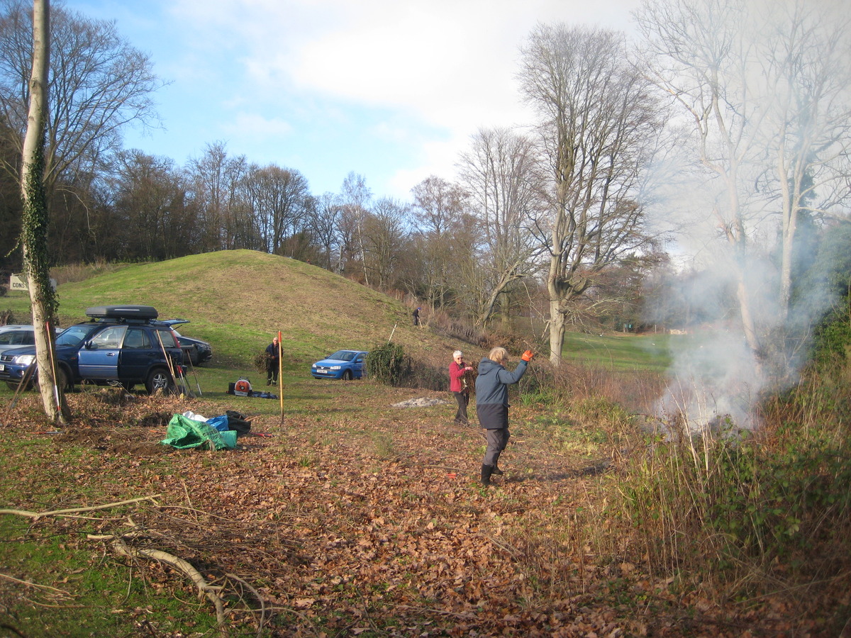 clearing scrub on 9 January